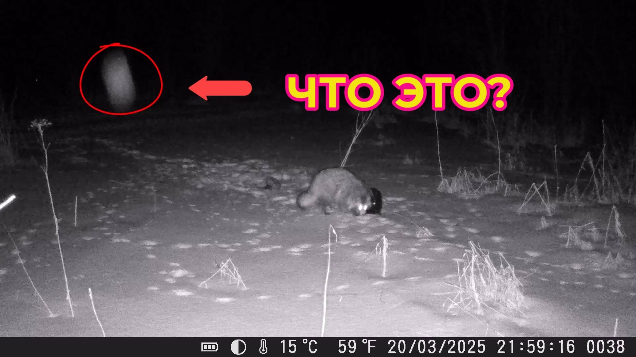 Александр Оптимист