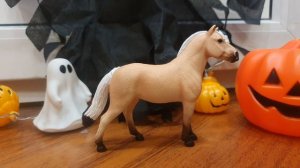 форд шяйх vs фьорд collcta