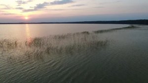 SUNO AI/Нам много не надо