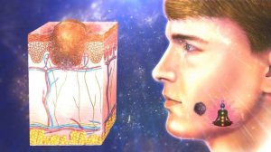 21 октября Все Матрицы Петра Петровича Гаряева Софт Радио Архив WaveGenetics.ru Клуб Москва