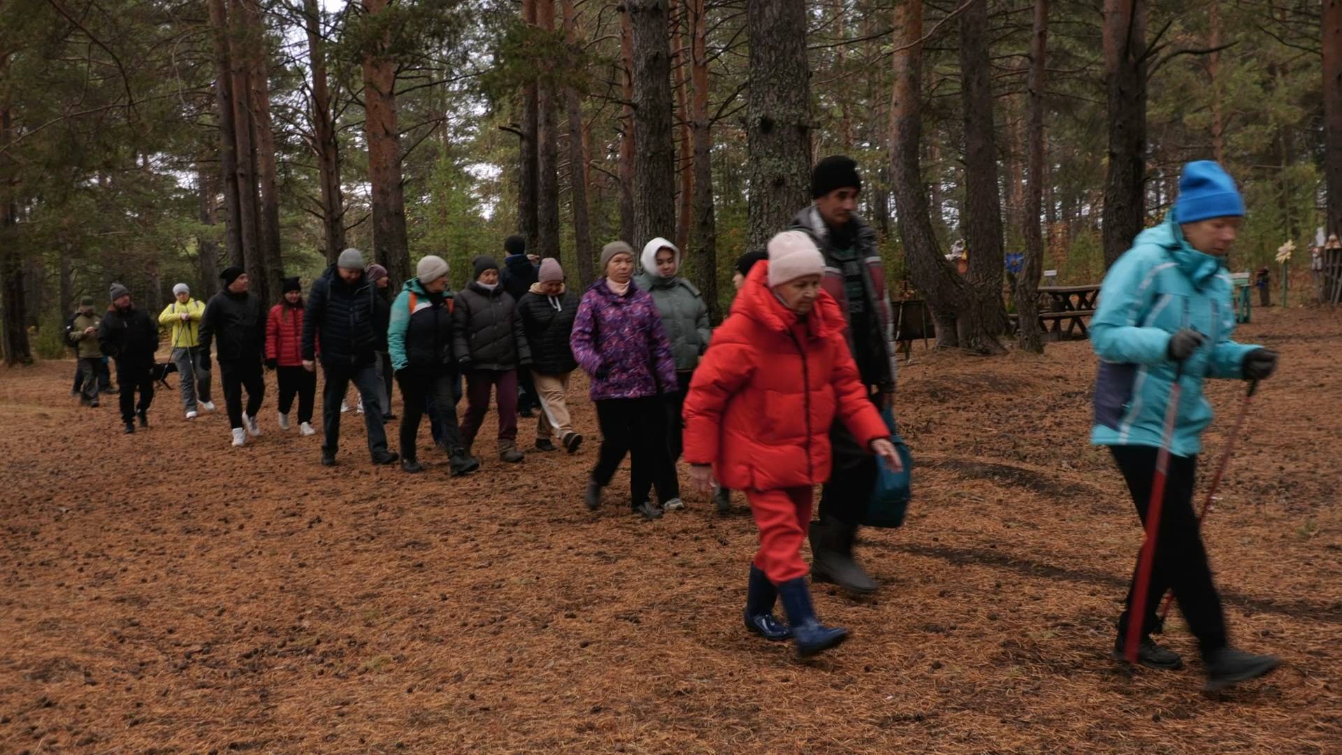 Прогулка по лесному массиву Крутого Лога объединила любителей спорта смотреть онлайн