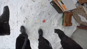 зарабатываю_лазая_по_мусоркам_Питера_Dumpster_Diving_RUSSIA