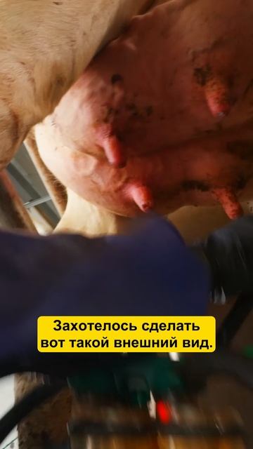 Зачем ФЕРМЕР украшает депрессивный район? #фермер #ферма #коровы #сельскоехозяйство #агро смотреть онлайн