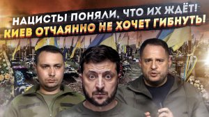 ЕС толкает в пропасть нацистский режим! Киев отчаянно хочет выжить!