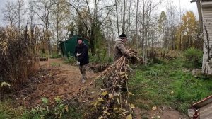 Прогуляли микроволновку, выручил Валюшу, Садоводы-охотники, Сбор топинамбура, трезвая жизнь, Света'