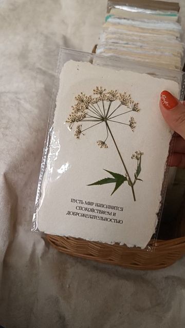 Открытки с сухоцветами