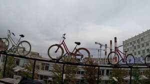 Севкабель порт с Анн  на босую ногу по Петербургу
