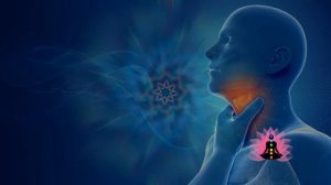 21 октября Все Матрицы Петра Петровича Гаряева Софт Радио Архив WaveGenetics.ru Клуб  Владивосток