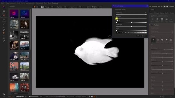 Продвинутое маскирование в программе «ON1 Photo RAW MAX 2026». Что нового? Урок №2