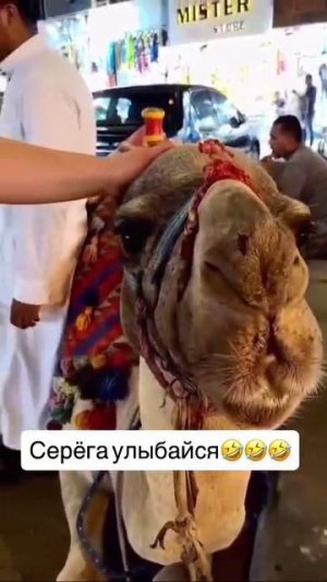 Серёга улыбайся