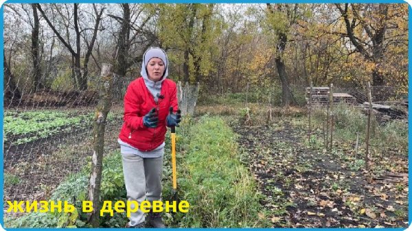 СОБРАЛИ ПОСЛЕДНИЙ УРОЖАЙ С ОГОРОДА И ПОДГОТОВИЛИ ТРАКТОР К РЕМОНТУ, ЖИЗНЬ В ДЕРЕВНЕ
