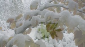 С. Рахманинов - Элегия - S. Rachmaninoff  - Elegie op.3 No.1