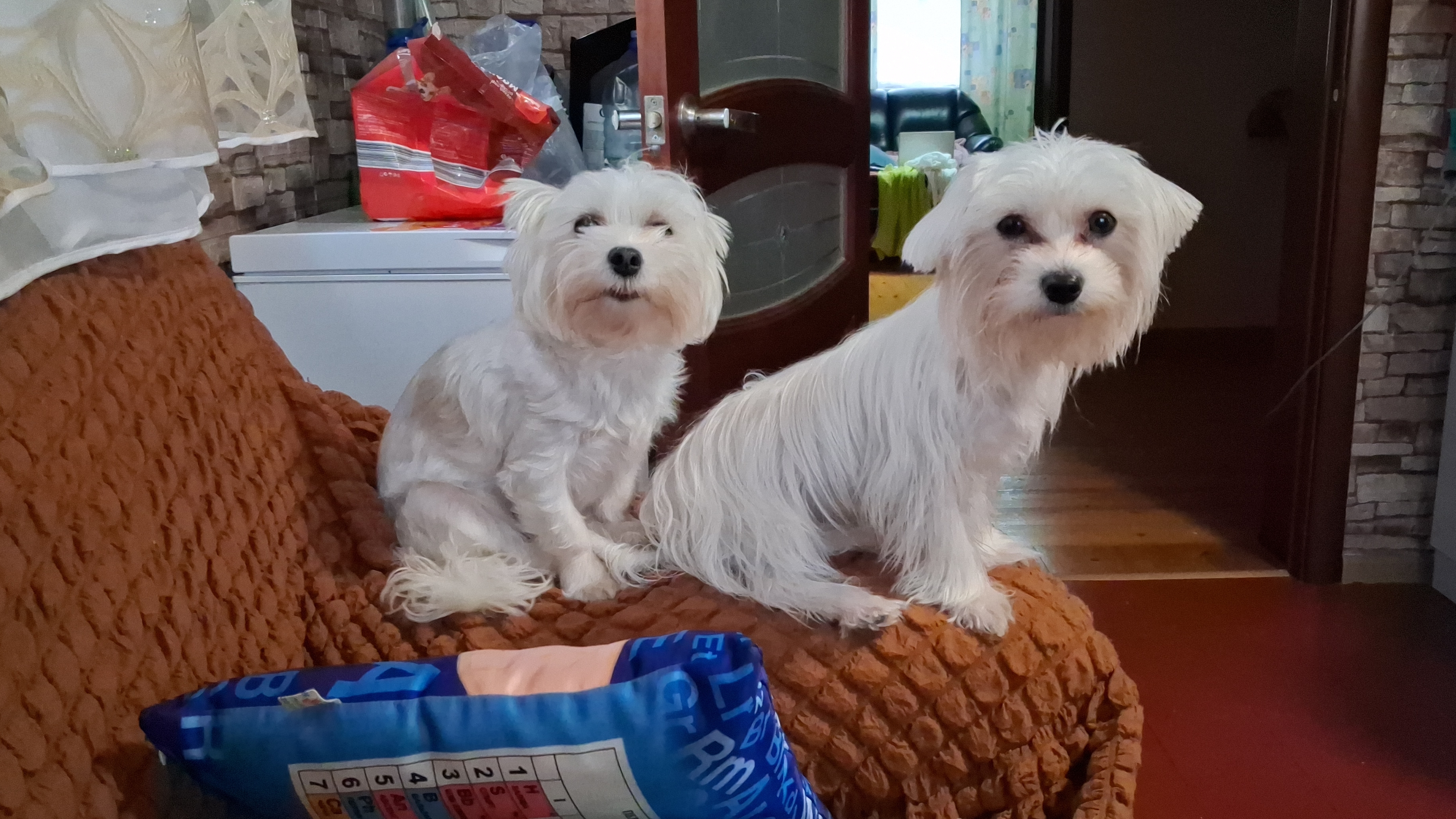 Вместо хорошего телефона...я купила полное..... смотреть онлайн