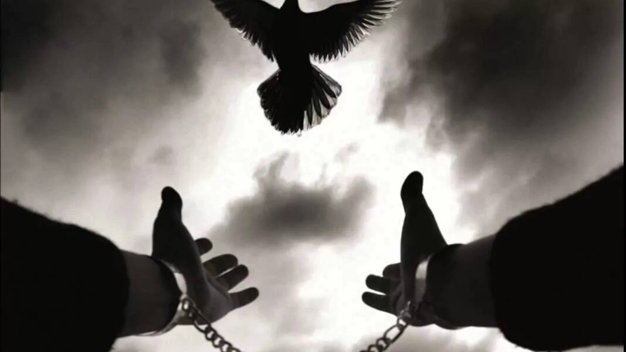 Берегите себя,свой внутренний мир,,♥️♥️♥️ смотреть онлайн