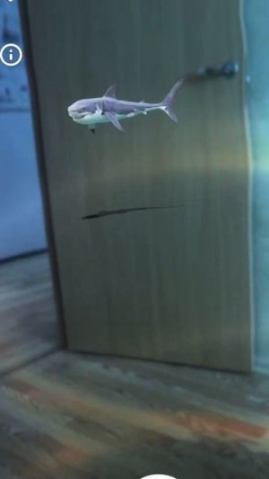 Акулёнок  #shorts