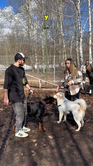 Достали они 😣 смотреть онлайн