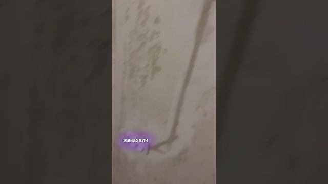 Сделали новую чистовую электропроводку в квартире 36 кв/м обзор. смотреть онлайн