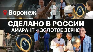 АМАРАНТ – ЗОЛОТОЕ ЗЕРНО. Сделано в России с Вячеславом Волковым
