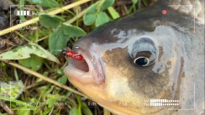 Новинка 2025 года. На что способен Hearty Rise Laiquendi LQS-602XUL?