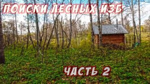 В поисках лесных избушек на велосипеде. Часть 2