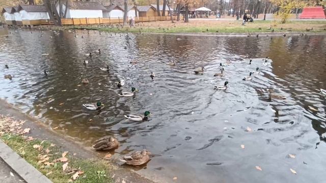 *Заманила, соблазнила, раздразнила. *Вижу в первый раз эту композицию. Ну конечно на счастье . Супер смотреть онлайн