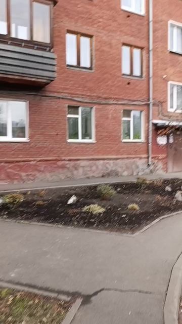 узи котику смотреть онлайн