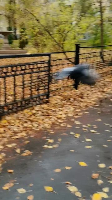 погода так и шепчет...