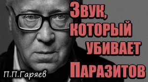 Матрица Гаряева против паразитов | Звуковой детокс от глистов и червей