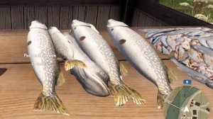 Русская Рыбалка