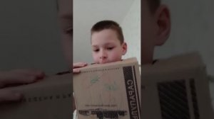 смех андрей в коробке лайв