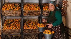 Сладкие Мандариновые Угощения - Натуральные, Свежие и Вкусные 🍊🍯