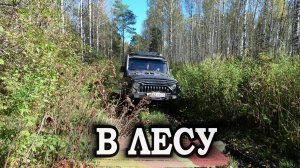 РЫБАЛКЕ КОНЕЦ  Едем на тихую охоту в рыжики