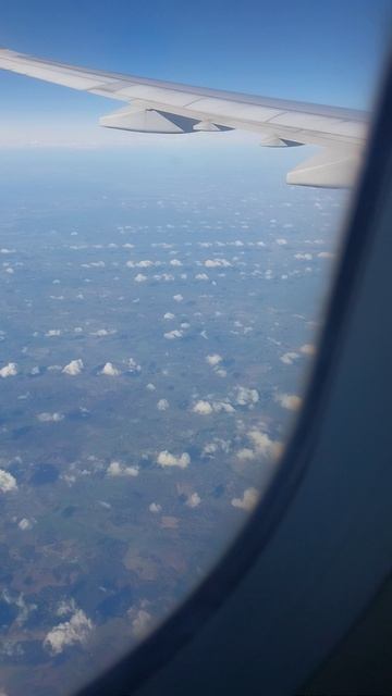 Красивые облака в рядочек как растения на огороде!