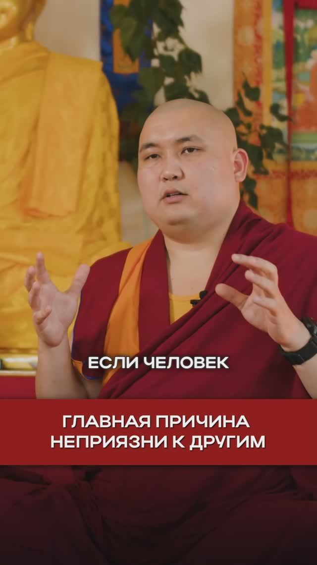 Главная причина неприязни к другим смотреть онлайн