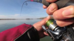 Хозяин реки клюнул! А я расстроен. Не ожидал...