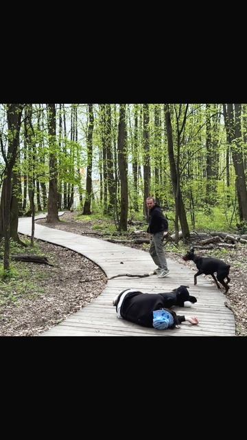 По новостям показали 😆 смотреть онлайн