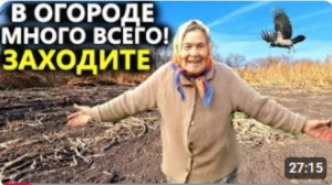 КЛАДОИСКАТЕЛЬ .БАБУШКА БЫ НЕ ПУСТИЛА В ОГОРОД УЗНАВ ЧТО НАЙДЕМ