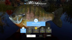 ТРОФЕИ СОЛНЕЧНИК СИНЕЖАБЕРНЫЙ!!!ОЗЕРО ЛОСИНОЕ - РУССКАЯ РЫБАЛКА 4