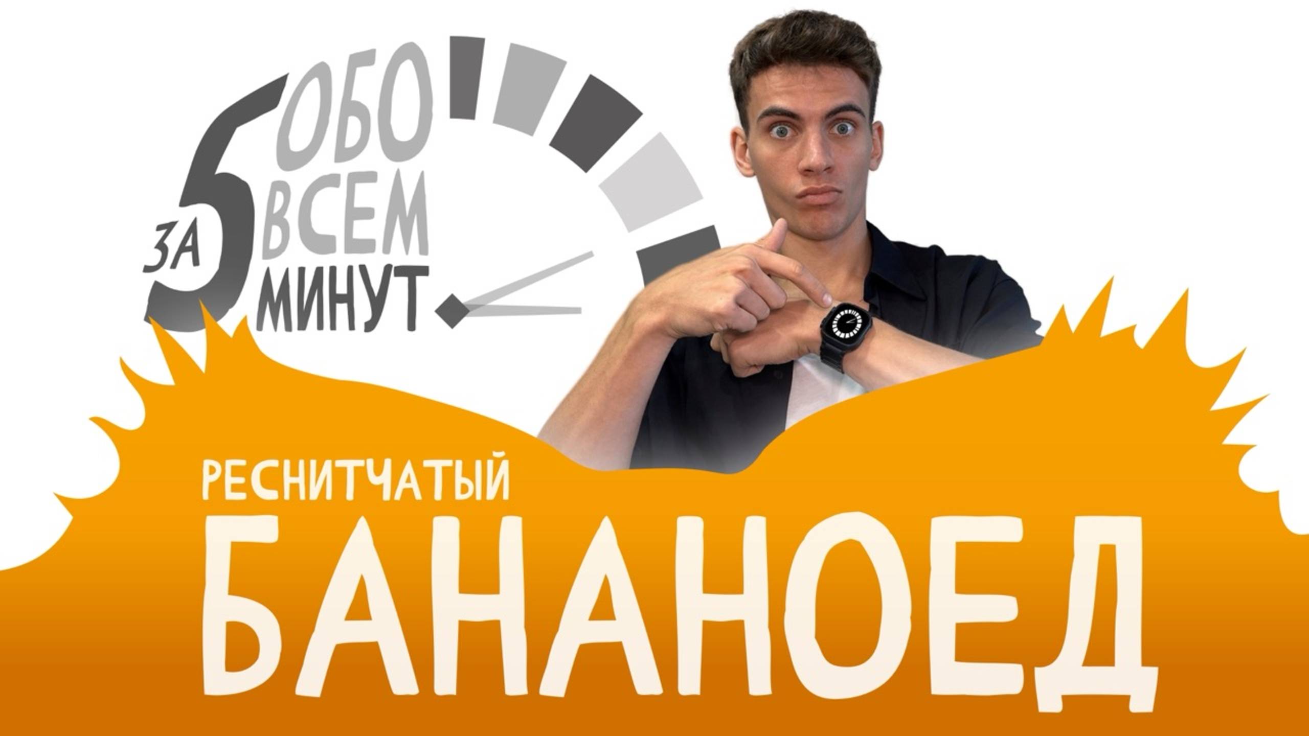 Реснитчатый бананоед. Все о содержании дома за 5 минут