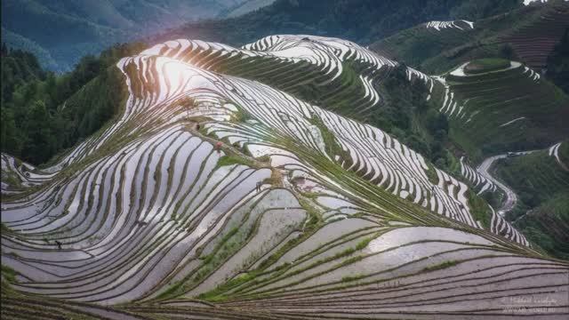 Хребет Дракона_рисовые террасы в Китае_Луншэн - познавательное видео