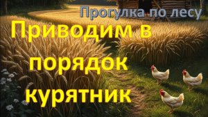 Прогулка по лесу . Приводим в порядок курятник .