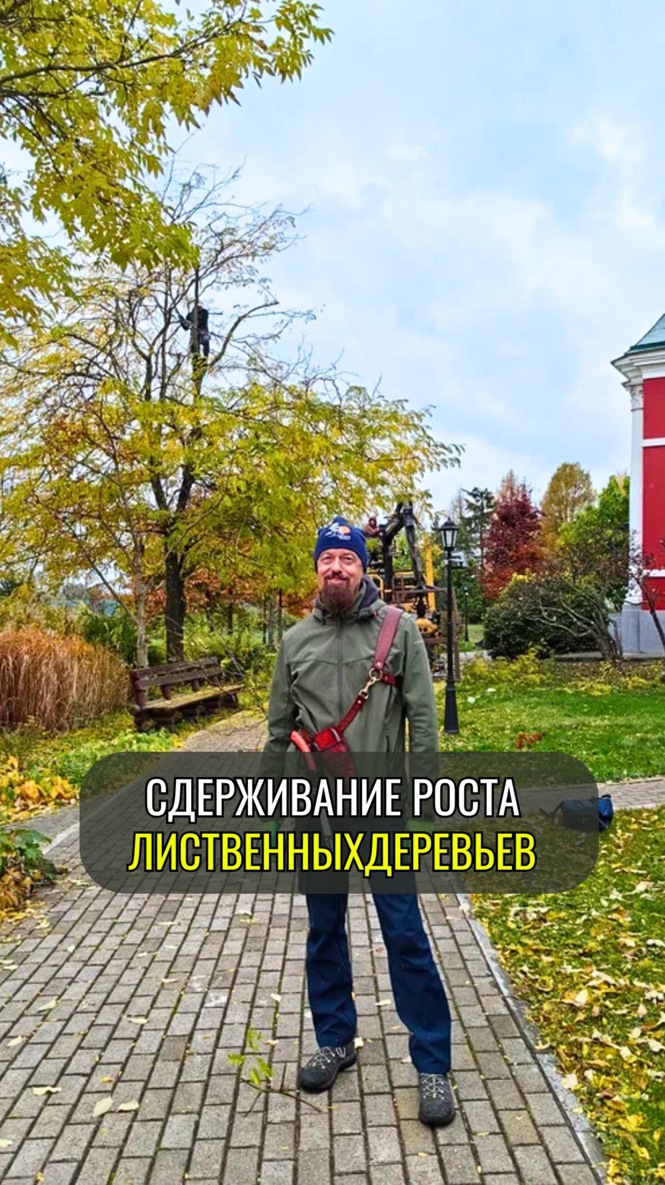 Как сдерживать рост лиственных деревьев? смотреть онлайн