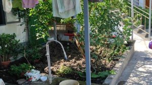 ЦАНДРИПШ УЛИЦА ЛЕНИНА 37