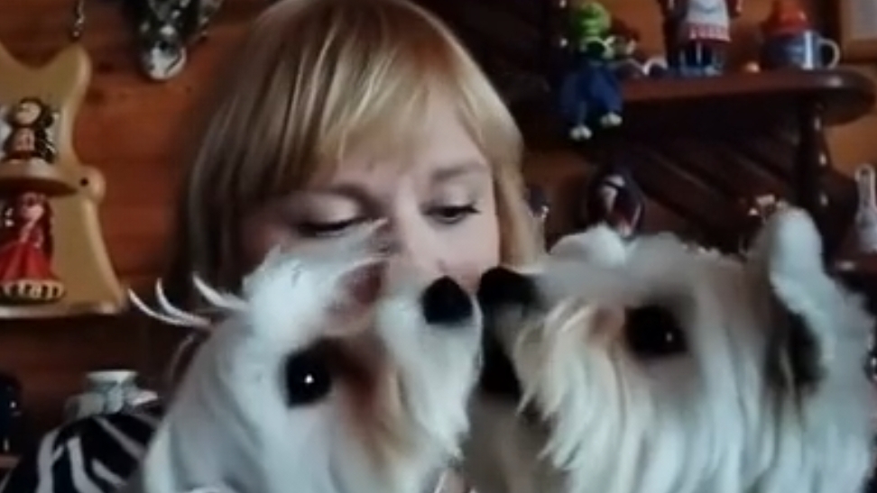 Вот так она и подкралась...старость..купила сапоги...Прощай молодость!!! смотреть онлайн