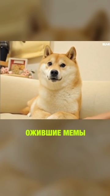 А давай оживим легендарные мемы? смотреть онлайн