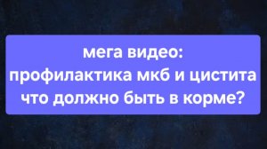Как профилактировать мочекаменную и цистит?