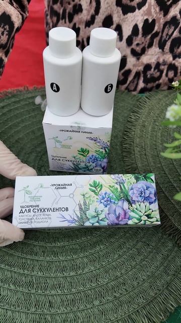 АЛИССУМ НА ОКНЕ С МЕДОВЫМ АРОМАТОМ В КВАРТИРЕ смотреть онлайн