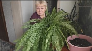 Занимаюсь цветами 🪴 // сажаем саженцы // отличный грунт для цветов //