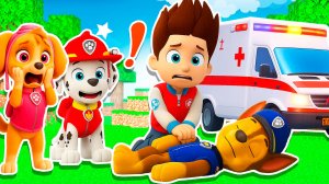 ЧТО СЛУЧИЛОСЬ С ГОНЩИКОМ ЩЕНЯЧИЙ ПАТРУЛЬ в МАЙНКРАФТ PAW PATROL МУЛЬТИК