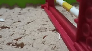 Спорт школа 2 серия 🏇